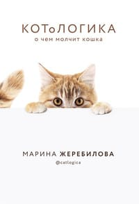 КОТоЛОГИКА